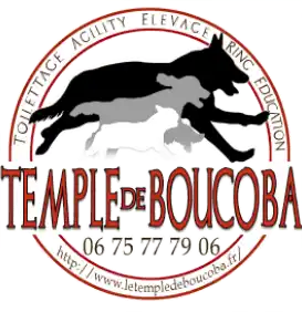 Le Temple de Boucoba : éducateur et élevage canin